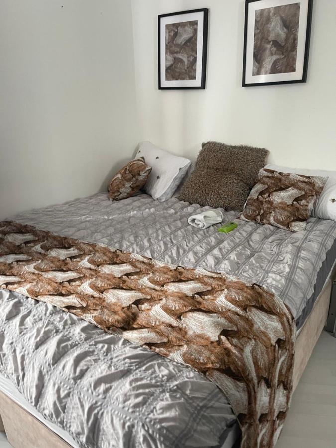 Spacious One Bedroom Ft In Central London King'S Cross Eksteriør bilde